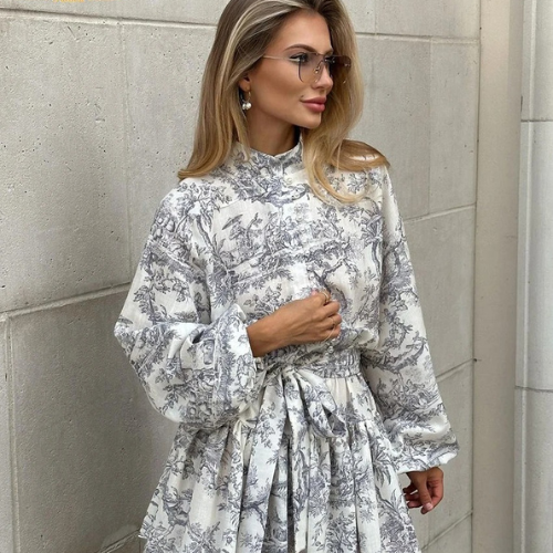 Toille Print Lantern Sleeve Dress